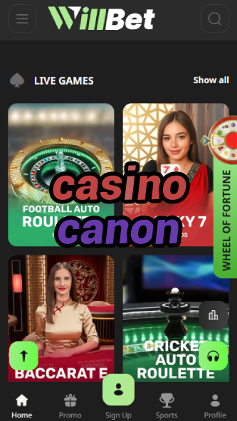 Casino Canon - Premium Shooting-Themed Casino-www.bdqngd.com